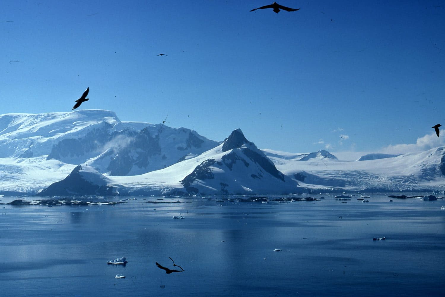 The Antarctic Peninsula Marguerite Bay Photographs taken by Author
