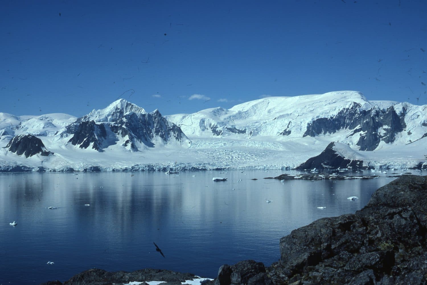 The Antarctic Peninsula Marguerite Bay Photographs taken by Author