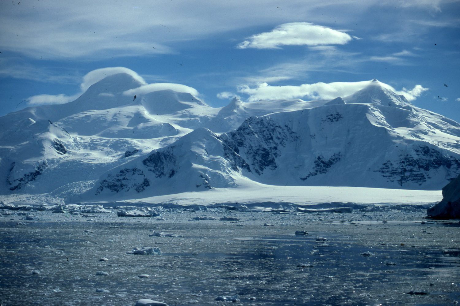 The Antarctic Peninsula Marguerite Bay Photographs taken by Author